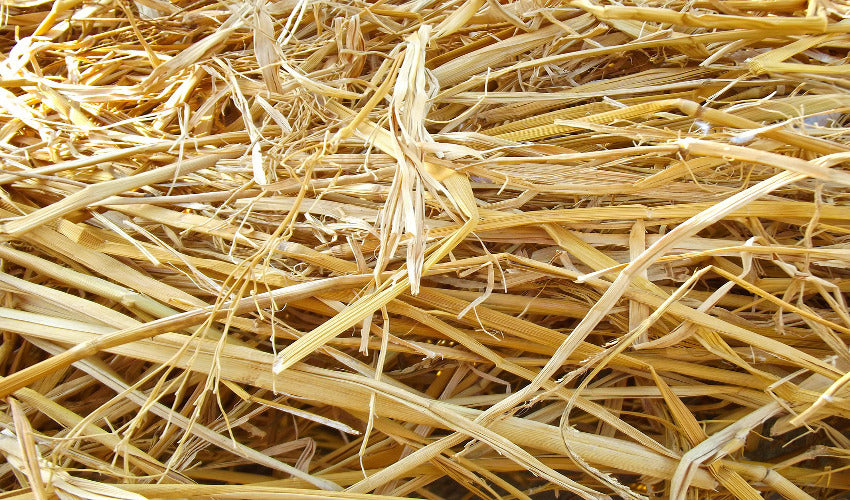 Five Factors of Hay Quality display picture 3