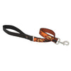 Lupine Pet Original Designs Dog Leash