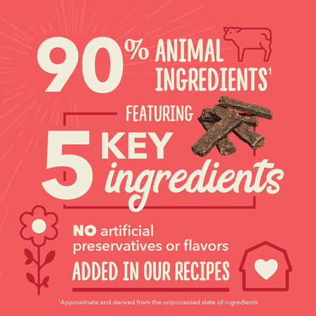 ACANA™ Beef Recipe Chewy Strips