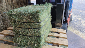 Compressed Alfalfa Hay