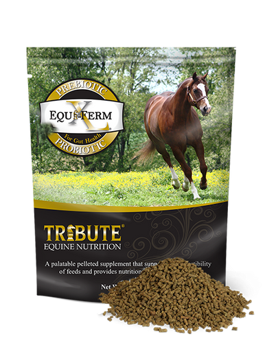 Tribute Equi-Ferm XL®