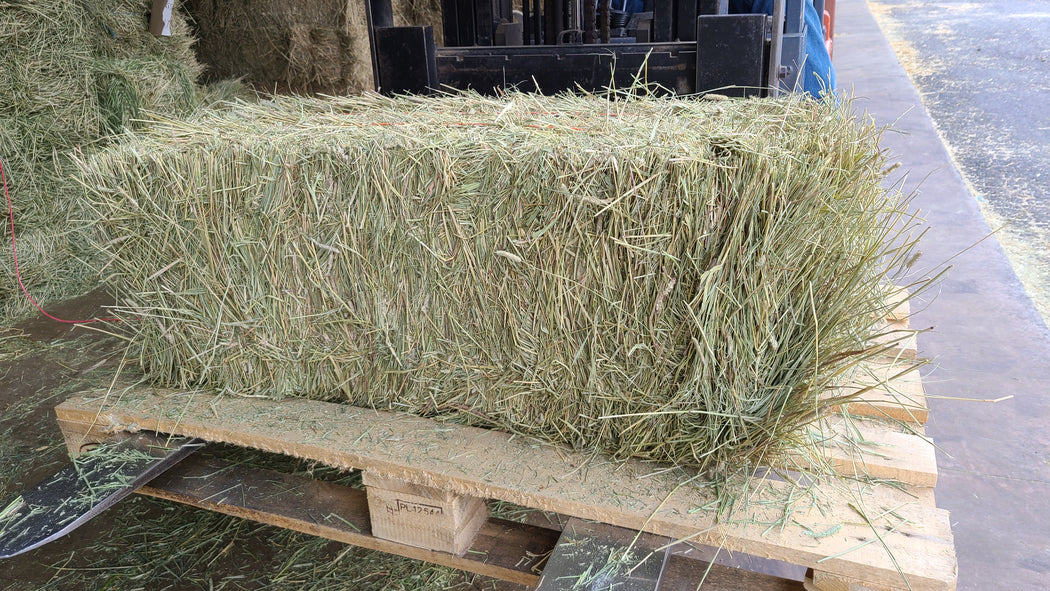 Hay & Bedding - Conyers, GA - The Stock Market Country Store