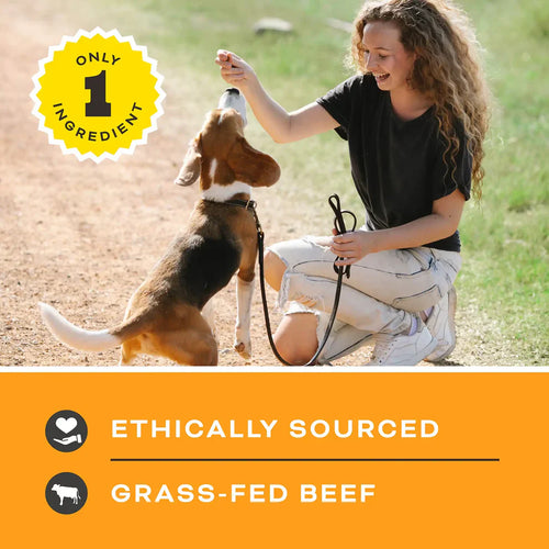 Primal Pet Foods Let’s All Get a Lung Dehydrated Dog Treats Beef Recipe