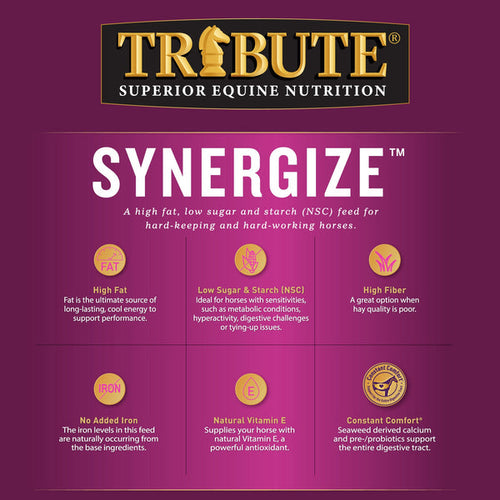 Tribute Synergize™ Pelleted Horse Feed (50 lbs)