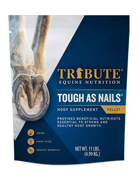 Tribute Tough As Nails®