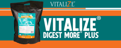 BioZyme Vitalize® Equine Digest More® Plus