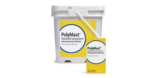 Boehringer Ingelheim Polymast™ Infusion