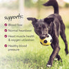 VetriScience Cardio Canine Dog Chews