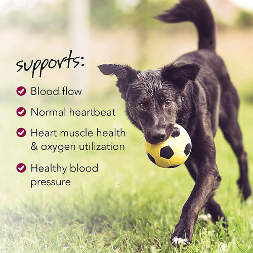 VetriScience Cardio Canine Dog Chews