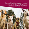 VetriScience Cardio Canine Dog Chews