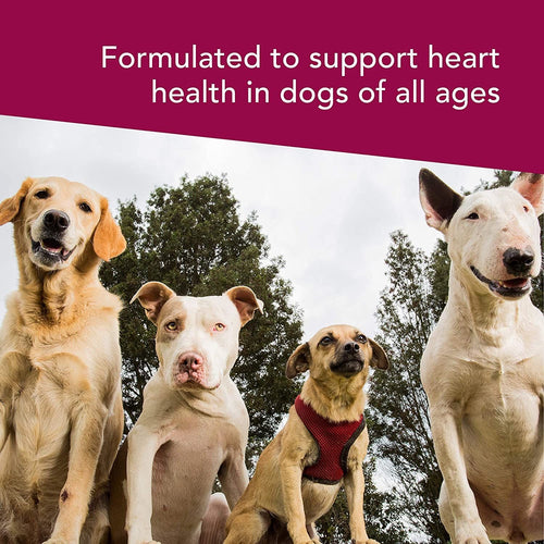 VetriScience Cardio Canine Dog Chews
