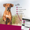 VetriScience Cardio Canine Dog Chews
