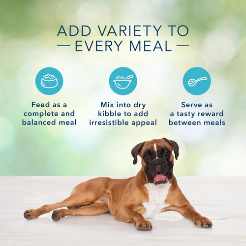Blue Buffalo Freedom Grain Free Grillers Hearty Lamb Dinner Canned Dog Food
