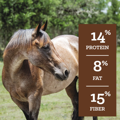 Nutrena® SafeChoice® All Life Stages