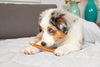 Barking Buddha™ Longlastics™ Jumbo Collagen Chews