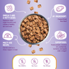Health Extension Superbites Freeze Dried Raw - Salmon Recipe Cat Treats