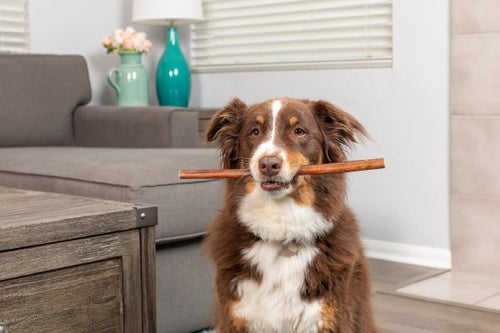 Barking Buddha Longlastics™ Thick Collagen Stick 11” to 12” (5 Pack) for Medium to Large Dogs