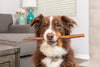 Barking Buddha Longlastics™ Thick Collagen Stick 11” to 12” (5 Pack) for Medium to Large Dogs
