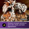 Kalmbach Fancy & Feathered® Feed for Show Birds