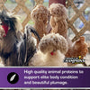 Kalmbach Fancy & Feathered® Feed for Show Birds