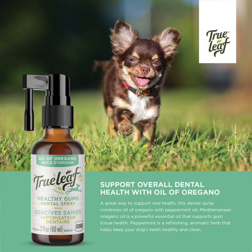 True Leaf Oil Of Oregano Healthy Gums Mouth Dental Spray