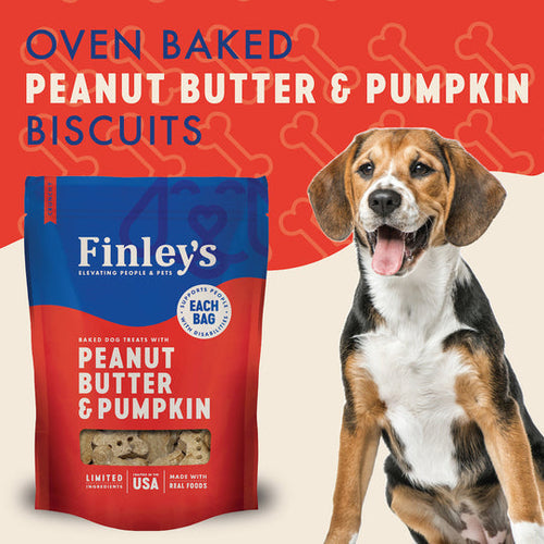 Finley's Peanut Butter & Pumpkin Crunchy Biscuits Dog Treats