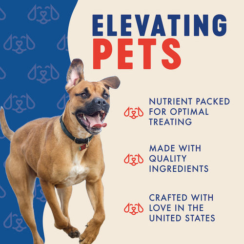 Finley's Peanut Butter & Pumpkin Crunchy Biscuits Dog Treats