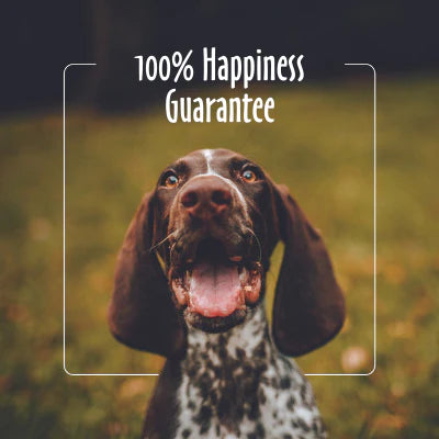 Earthbath Ear Wipes with Witch Hazel & Chamomile for Dogs and Cats