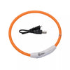 Coastal Pet USB Light-Up Neck Ring