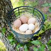 Happy Hen Nest Pads