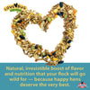 Kalmbach Feeds Henhouse Reserve Love Bug™ for Chickens and Poultry
