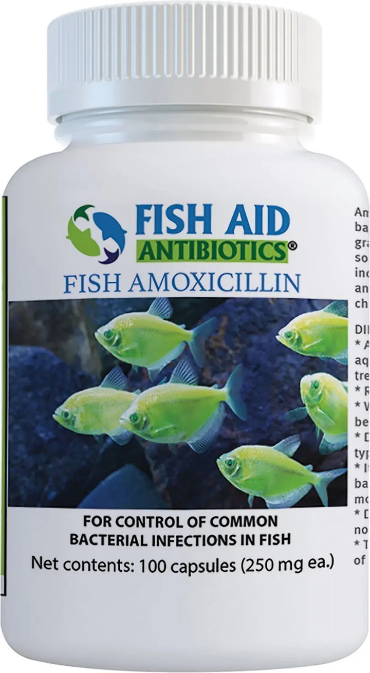 Aqua Mox Forte Amoxicillin - Conyers, GA