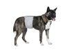 PoochPad X-Large PoochPants™ Male Wrap 28″ to 35″