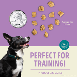 ACANA Jerky Bites Duck Recipe Soft Chewy Treats for Dogs