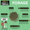 Tribute Equi-Librium™ Forage
