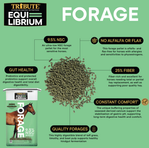Tribute Equi-Librium™ Forage