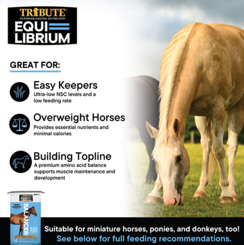 Tribute Equi-Librium™ Balancer