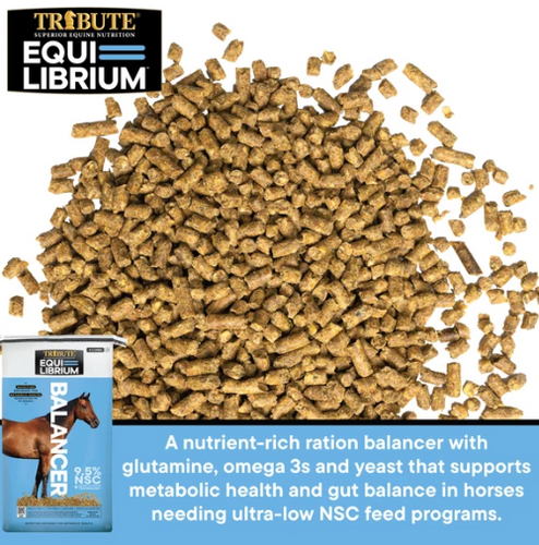 Tribute Equi-Librium™ Balancer