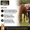 Tribute Equi-Librium™ Senior