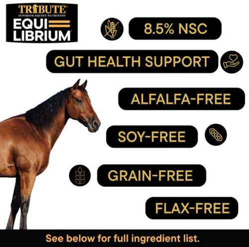 Tribute Equi-Librium™ Senior