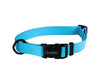 Leather Brothers Carnival Dog Collar