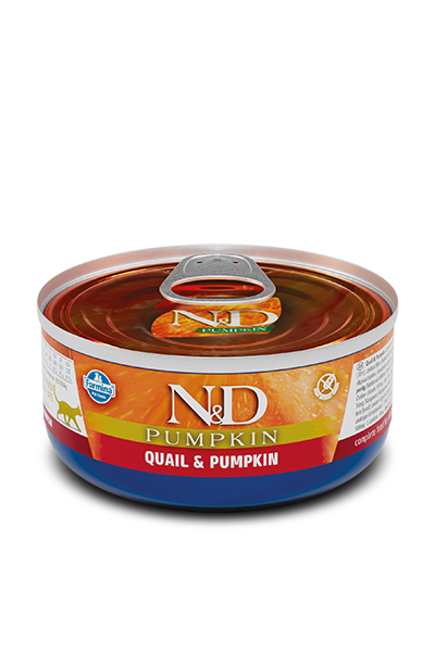 Farmina N&D Pumpkin Cat Quail & Pumpkin Recipe Wet Cat Food (2.8 Oz Single)