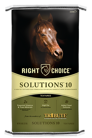 Solutions® 10 Textured Horse Feed (50 Lb)