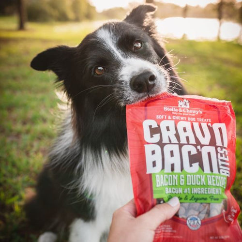 Stella & Chewy's Crav'n Bac'n Bites Bacon & Duck Recipe (8.25 OZ)