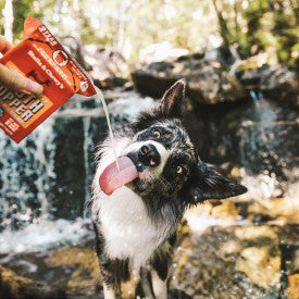 Stella & Chewy's Grass Fed Beef Broth Food Topper for Dogs