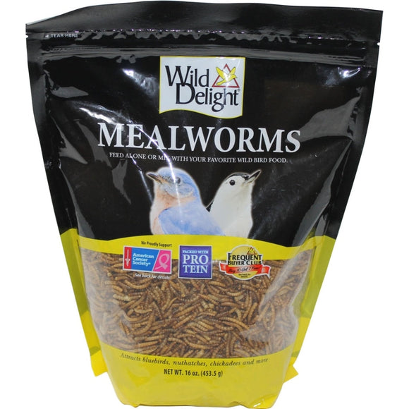 WILD DELIGHT MEALWORMS