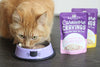 Stella & Chewy's Carnivore Cravings Chicken & Salmon Recipe Wet Cat Food